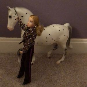 A horse and and horse rider